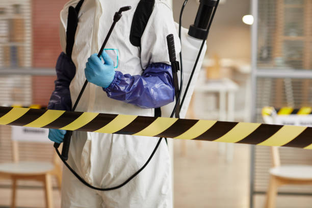 Professional Hoarding Cleanup technician working in Shepherd, MI